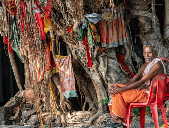 A priest sitting next to a Banyan tree