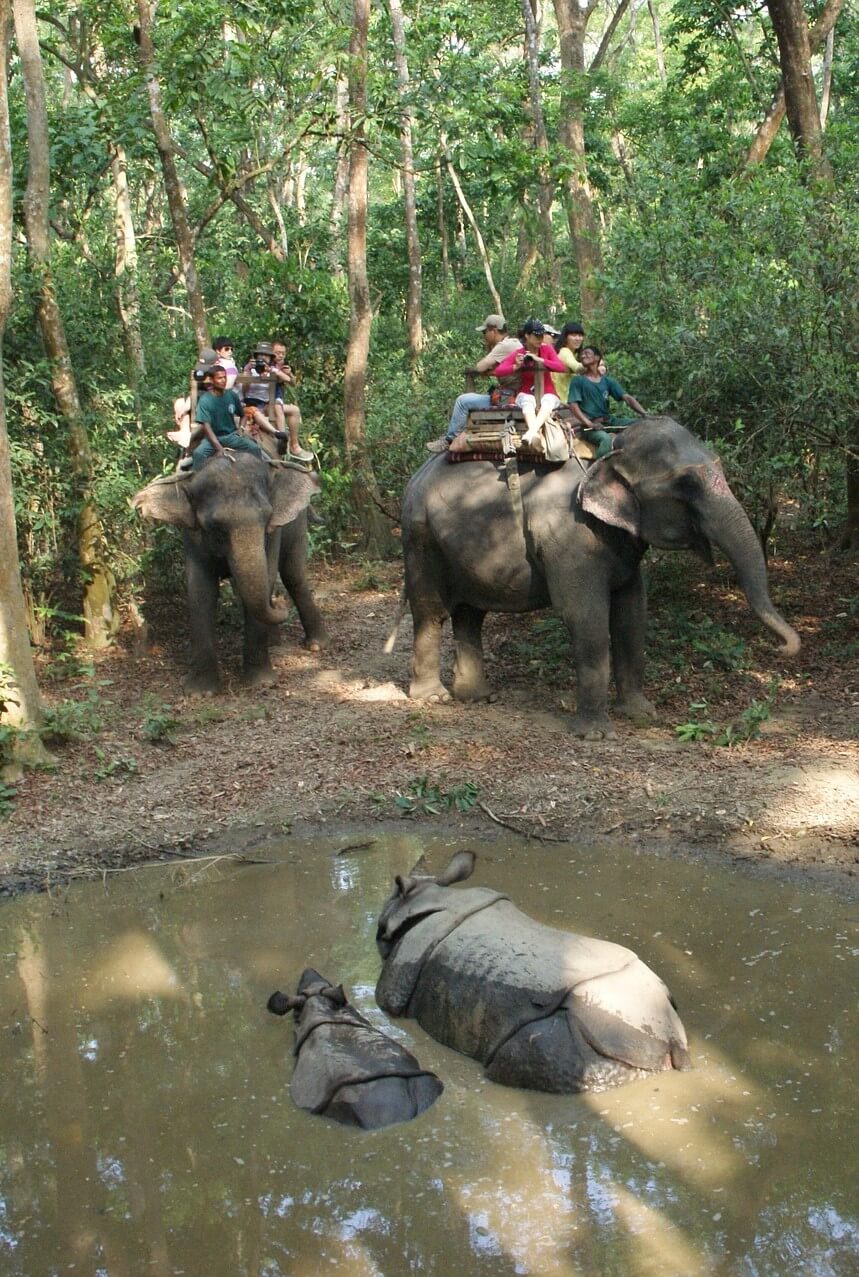 Chitwan National Park Nepal. In the image is an elephant safari